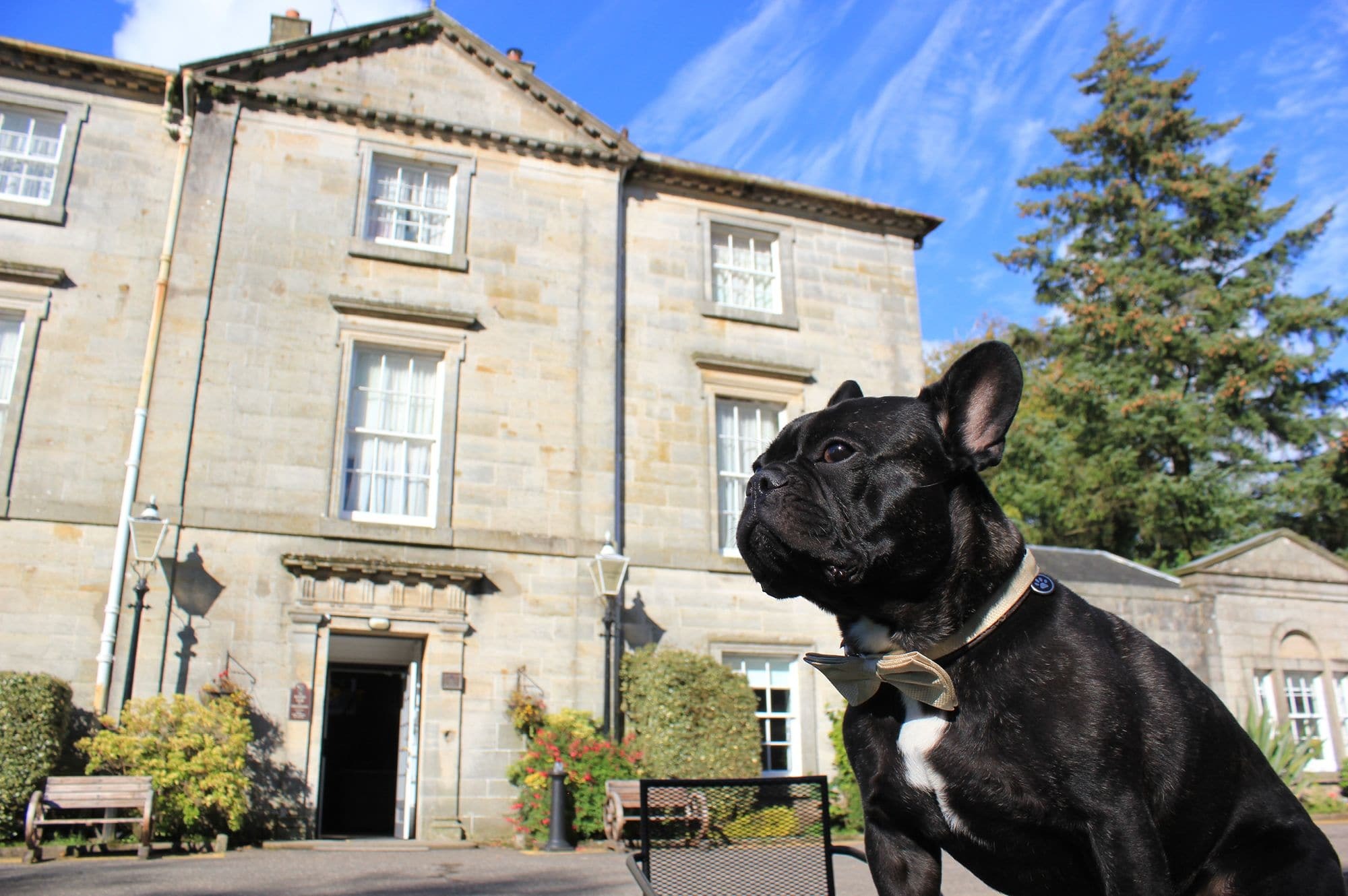 Strathaven Hotel Exterior photo